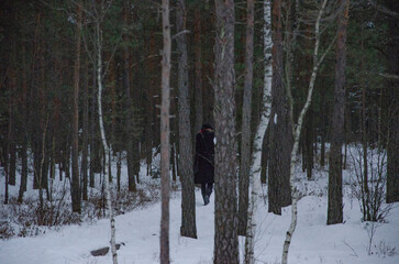a person walking away in black forest in winter