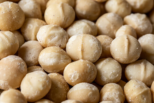 Heap of Macadamia Nuts in sugar powder