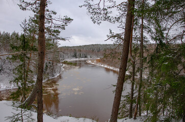 Fototapeta na wymiar landscape with forest river in the winter