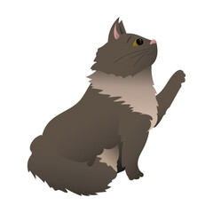 Cat cartoon profile