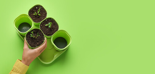 Hand of gardener and pots with seedlings on green background with space for text