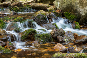 Fototapeta na wymiar Moss-covered stones in the Ilse waterfall in Ilsenburg im Harz, Ilse Falls