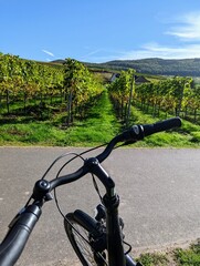 Fototapeta na wymiar Bicycle handlebar in front of vineyards