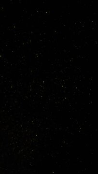 Small gold colored dots looped motion on clean black vertical copy space background.