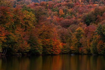 Beautiful autumn in the forest and small lake.