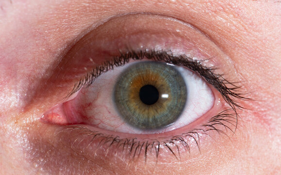 Close up of a human eye.  Eye macro photography.