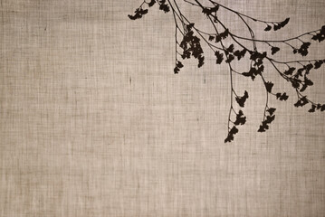 Abstract neutral background. A silhouette from dry herbs behind a cotton fabric. Shadows of branches on beige background with copy space.