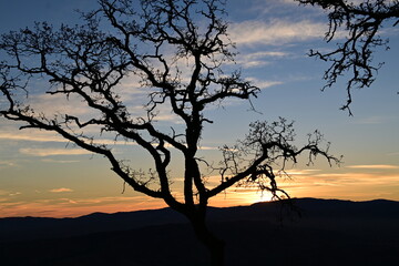 sunset in the desert