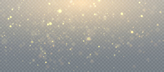 Glowing bright light effect with lots of shiny particles isolated on transparent background. Vector star cloud with dust.	
