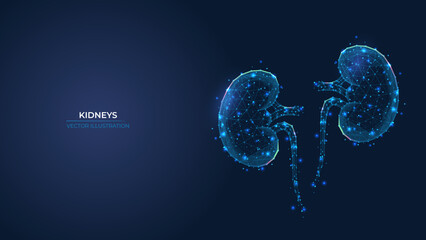 Futuristic abstract symbol of the human kidney. Concept treatment of pyelonephritis and urolithiasis. Low poly geometric 3d wallpaper background vector illustration. - obrazy, fototapety, plakaty