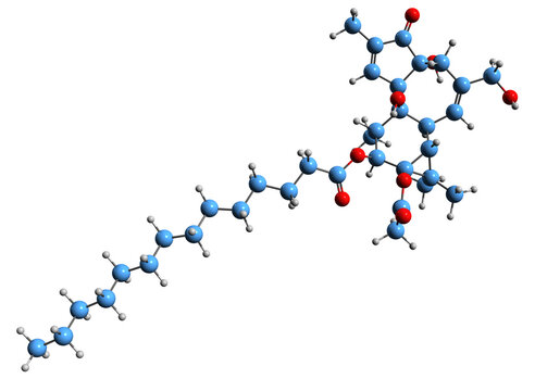 3D image of Phorbol ester skeletal formula - molecular chemical structure of  tumor promoter isolated on white 

background