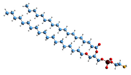 3D image of Plasmalogen skeletal formula - molecular chemical structure of Glycerophospholipid Example isolated on white background