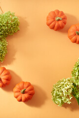 Flat lay autumn frame with green flowers and pumpkins on an orange background