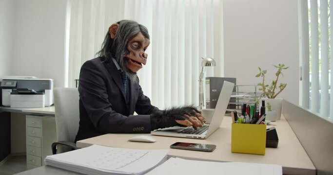 Monkey Businessman in Office typing on computer