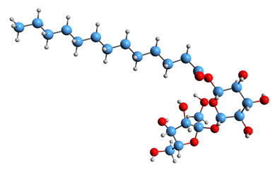  3D image of sucrose laurate skeletal formula - molecular chemical structure of emulsifier and oil thickener isolated on white background