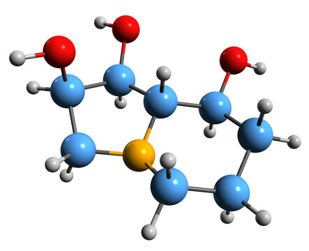  3D image of Swainsonine skeletal formula - molecular chemical structure of  indolizidine alkaloid isolated on white background