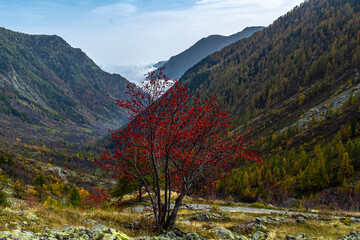 Autunno in Valle Stura: tripudio di colori, vette, laghi, cascate e flora alpina