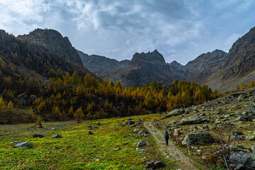 Autunno in Valle Stura: tripudio di colori, vette, laghi, cascate e flora alpina