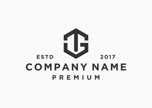 letter tg hexagon logo design vector illustration template