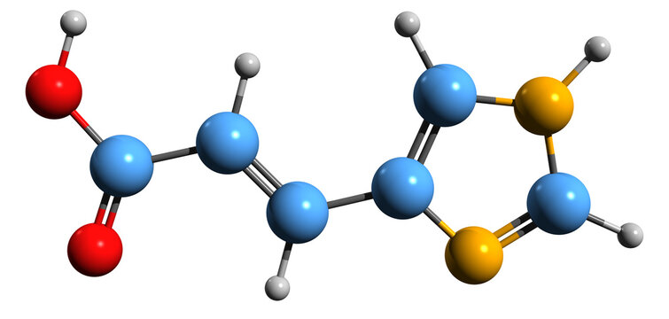 3D image of Urocanic acid skeletal formula - molecular chemical structure of  L-histidine metabolite isolated on white background