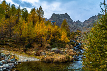 Fototapeta na wymiar Autunno in Valle Stura: tripudio di colori, vette, laghi, cascate e flora alpina