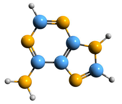 3D image of Adenine skeletal formula - molecular chemical structure of  nucleobase 6-Aminopurine isolated on white background