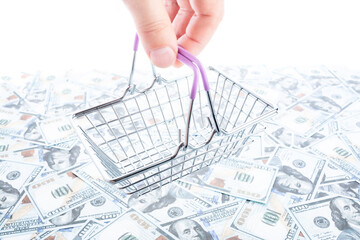 Shopping cart on the background of dollars.