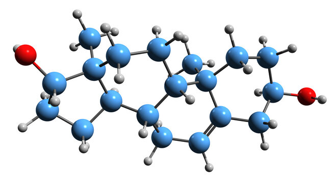 3D image of Androstenediol skeletal formula - molecular chemical structure of weak androgen and estrogen steroid hormone isolated on white background