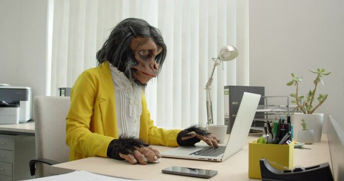 Monkey Business Woman in Office typing on computer