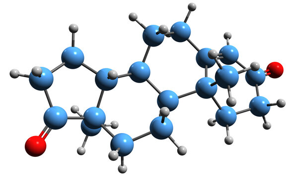  3D image of Androstenedione skeletal formula - molecular chemical structure of 17-Ketotestosterone isolated on white background
