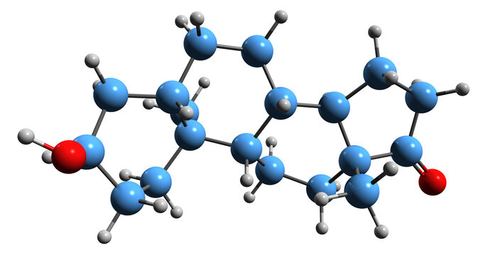  3D image of Androsterone skeletal formula - molecular chemical structure of endogenous steroid hormone isolated on white background
