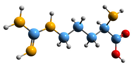 3D image of Arginine skeletal formula - molecular chemical structure of amino acid isolated on white background
