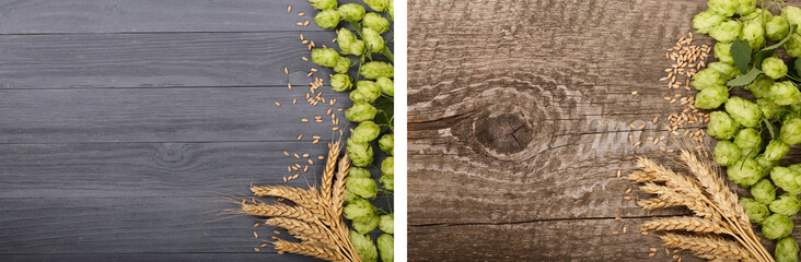 Fresh green hop cones with ears of wheat on black wooden background. Top view with copy space for...