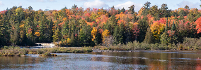 Tahquamenon falls during brilliant autumn colors