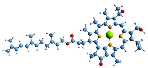  3D image of Bacteriochlorophyll e skeletal formula - molecular chemical structure of  photosynthetic pigment isolated on white background