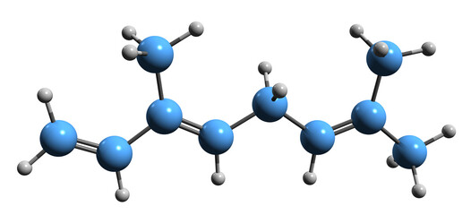  3D image of Ocimene skeletal formula - molecular chemical structure of  monoterpene isolated on white background - obrazy, fototapety, plakaty