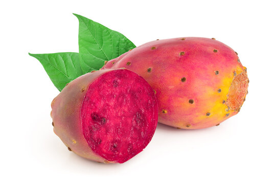 red prickly pear or opuntia isolated on a white background