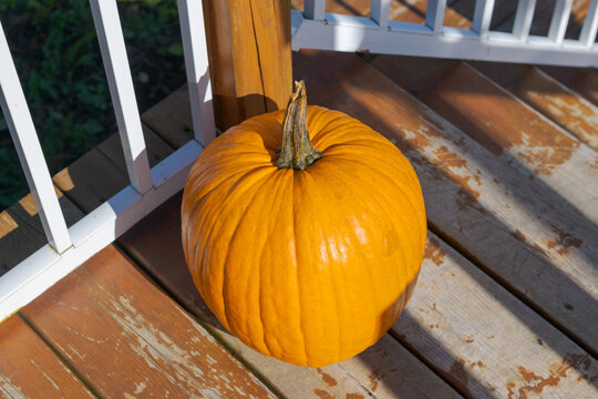 Orange Pumpkin From the Top