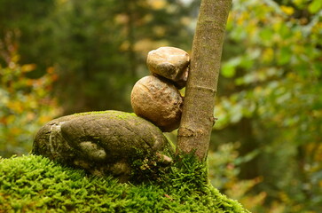 Autumn forest in the Zurich Oberland. Art in beautiful nature. stone tower on a tree. High quality photo