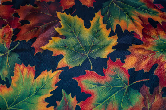 Large Colourful Textured Background Leaves 