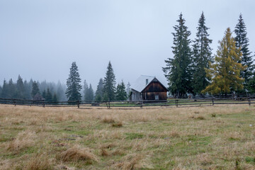 summer farm in the mountains