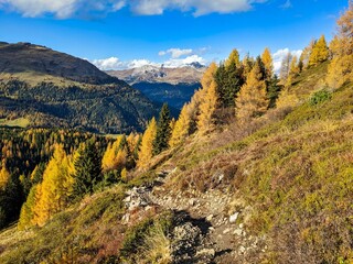 beautiful autumn hike above lake davos. Colored larch forests. Mountain panorama in Davos Klosters Mountains. High quality photo