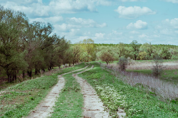 Fototapeta na wymiar Path in the countryside with cloudy light blue sky