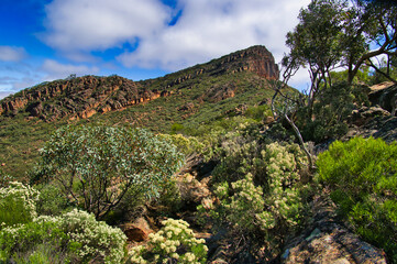 St Mary's Peak, the highest mountain of the Flinders Ranges in South Australia, with scrubland vegetation in the foreground