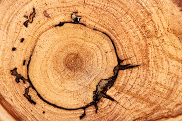 apple texture background, apple tree texture, great wallpaper background, apple board, cross...