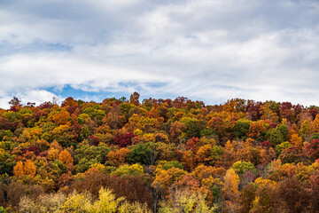 autumn landscape in the mountains