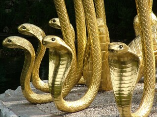 Closeup shot of statues of golden King Cobra snakes