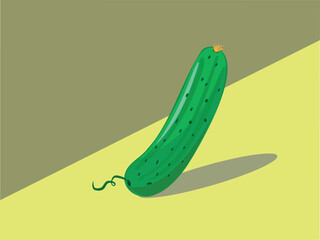 Print. Vector illustration. Cucumber on a colored background, vector images of vegetables