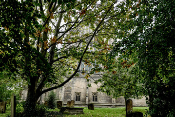 old cemetery in autumn