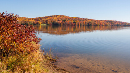 scenic lake in autumn